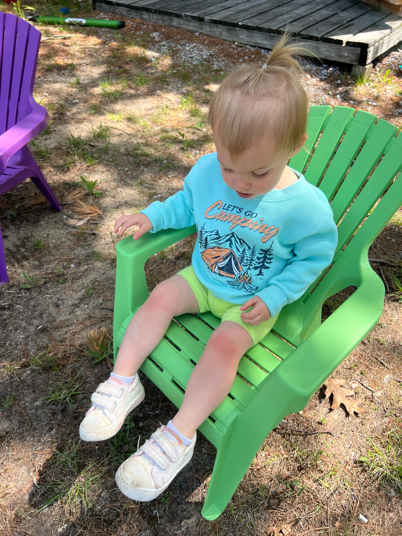 Let's Go Camping Toddler Crewneck Sweatshirt