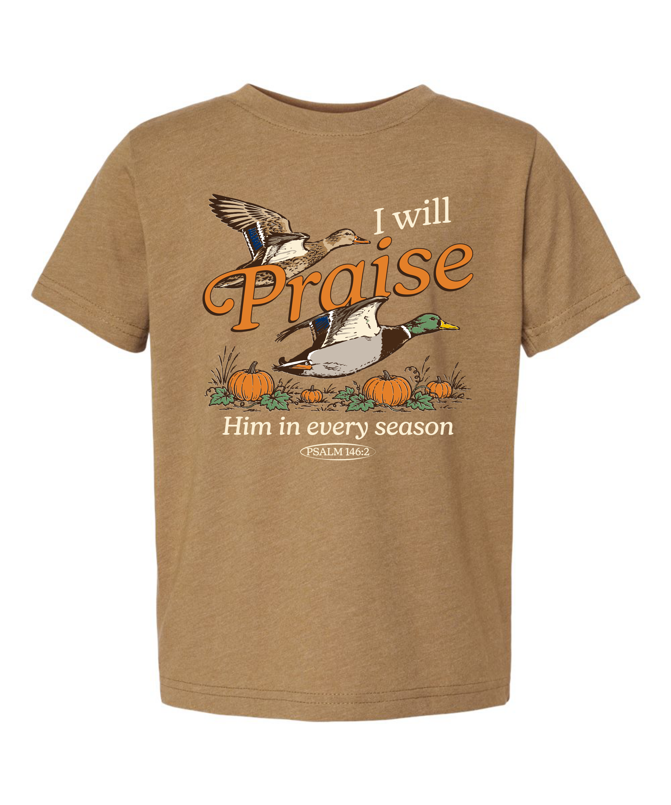 iwillpraisehimineveryseasoncoyotebrown.png
