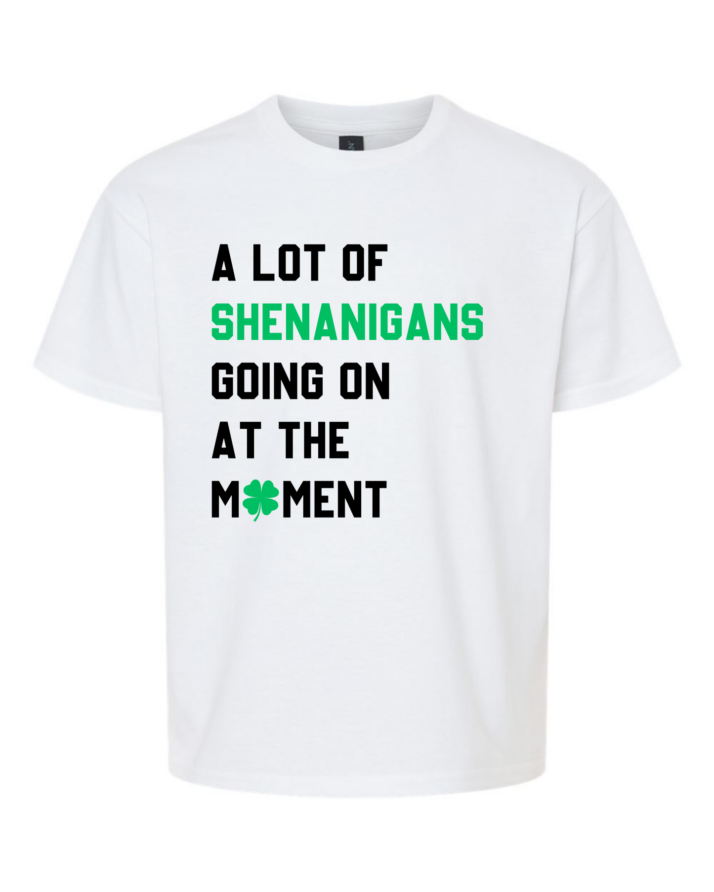 A Lot Of Shenanigans Going On At The Moment Youth T-Shirt